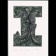I for Inanga print