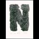 N for Niu Print